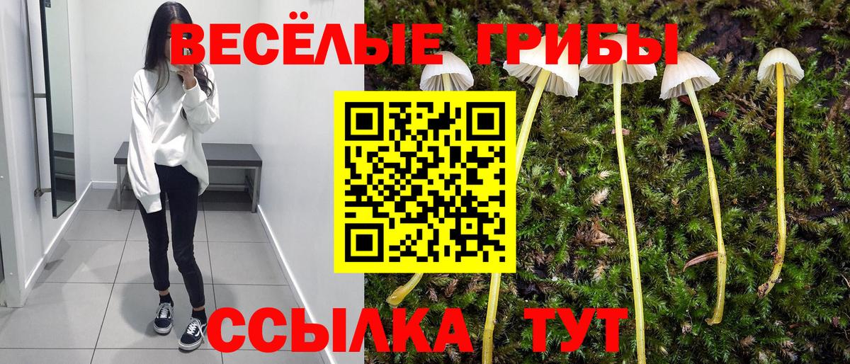 Псилоцибиновые грибы ЛСД  Вход с VPN  Нижний Тагил 