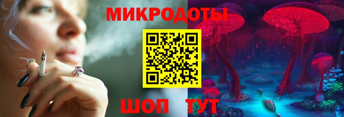 Псилоцибиновые грибы Psilocybe Нижний Тагил